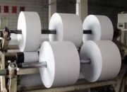 Paper-&-Pulp